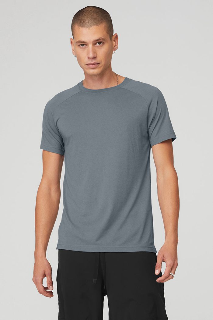 Short Sleeve Alo Yoga The Triumph Crew Neck Tee Hombre Grises | 180793DAU